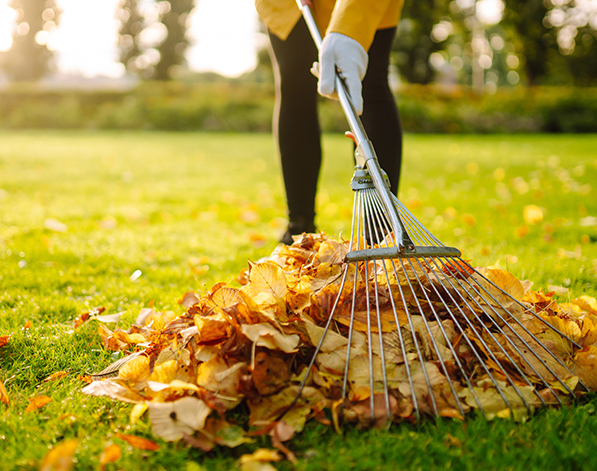 Yard Cleanups Services Surrey, Seasonal Yard Cleanup Vancouver